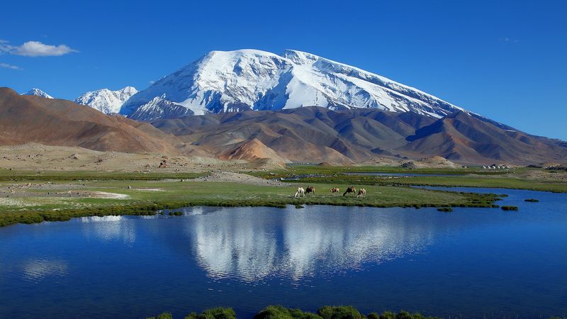 国際ニュース：中国とタジキスタンがパミール高原の野生動物を共同保護