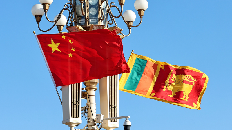 中国とスリランカ、ハイレベル交流の勢い維持を確認　一つの中国原則も再確認