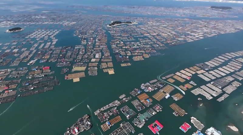 台風ダナスで中国が緊急対応　福建・広東でレベルIV発動