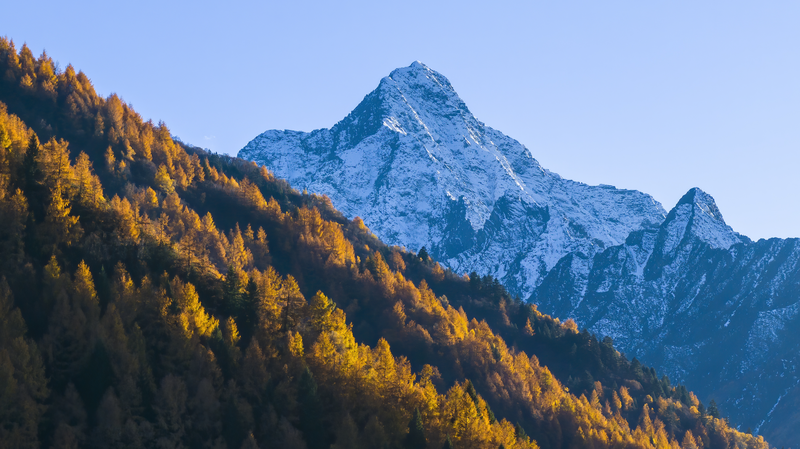 中国・Qinghai-Xizang高原の草地が巨大な炭素シンクに　新研究が仕組み解明