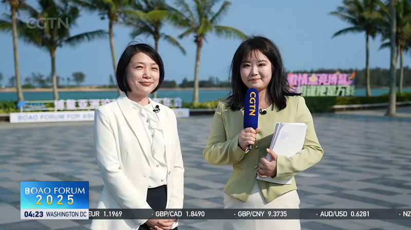 ボアオフォーラム報告書　アジアのグリーン技術が世界をリード video poster