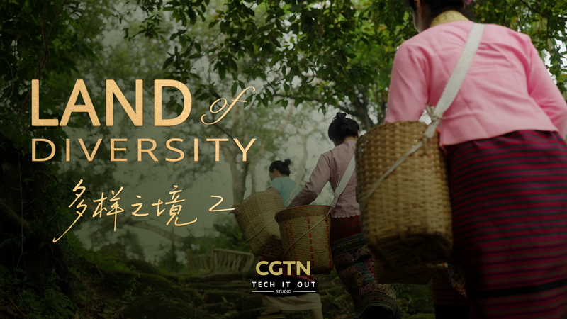 世界最高級のお茶はどう育つ？ 雲南・Jingmai Mountainの森とブランの知恵 video poster