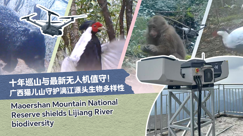 中国・桂林の猫児山でベテラン森林レンジャーが語る「最後の巡回」