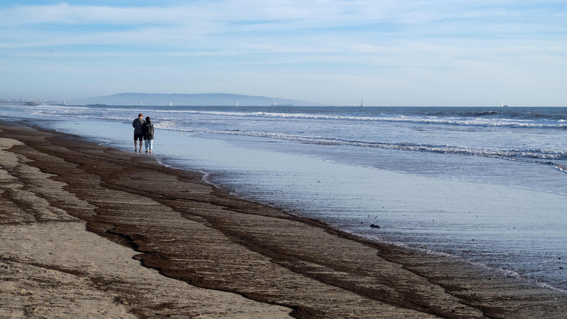 ロサンゼルス山火事で海はどうなる？ 科学者たちの「時間との競争」