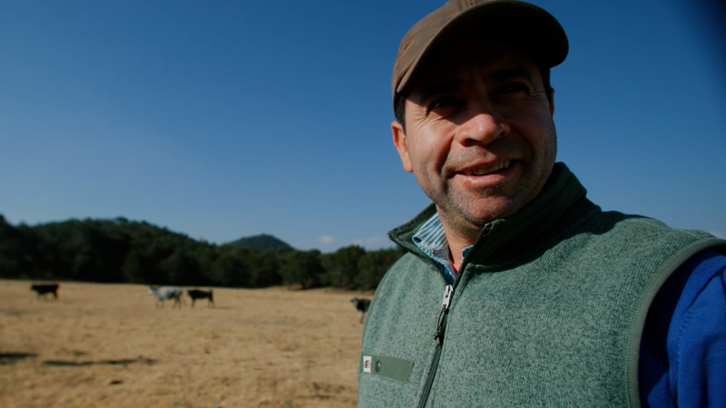 メキシコの闘牛文化：牧場主セルヒオ・エルナンデスが語る伝統と雇用 video poster