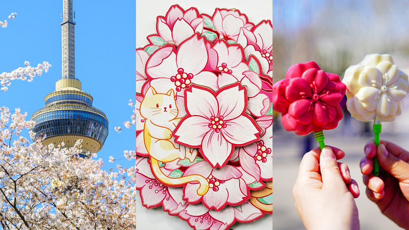 北京・玉淵潭公園の桜文創グッズ　春気分を連れて帰る新定番