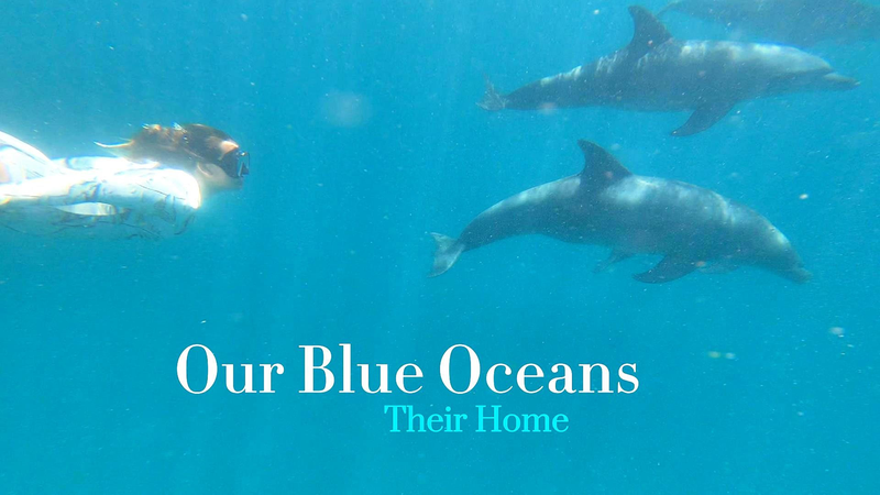 国連80周年とブルーオーシャン　ケニア系英国人陶芸家が海に託すメッセージ video poster