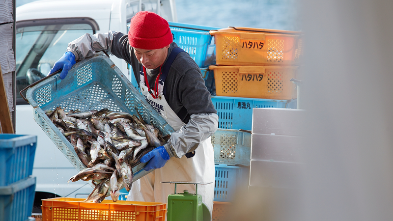 中国・日本の緊張が沖縄漁業を直撃　対中輸出15％の不安 video poster