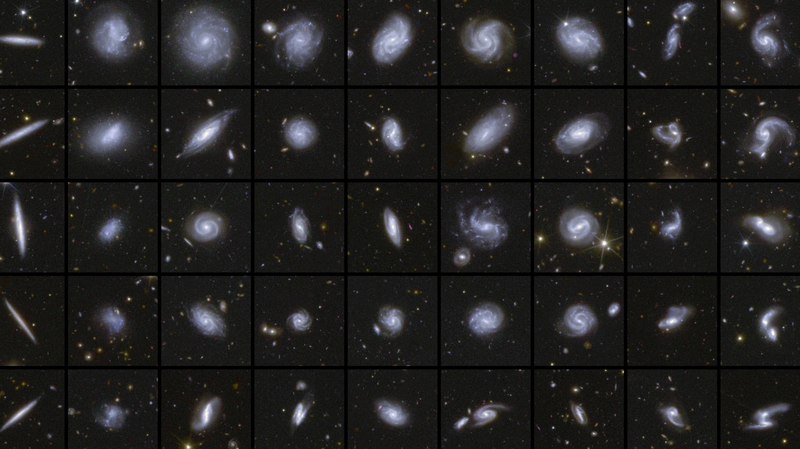 欧州宇宙望遠鏡ユークリッド、遠方銀河の新画像を公開