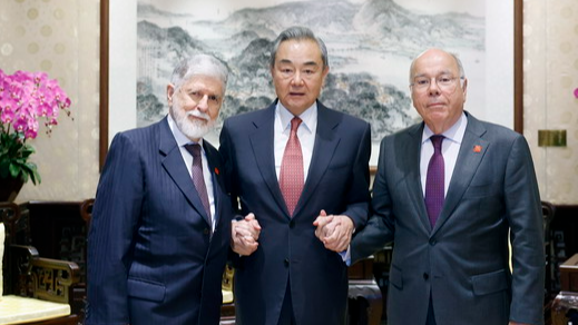 中国とブラジル、グローバルサウスの権利擁護で連携強化へ