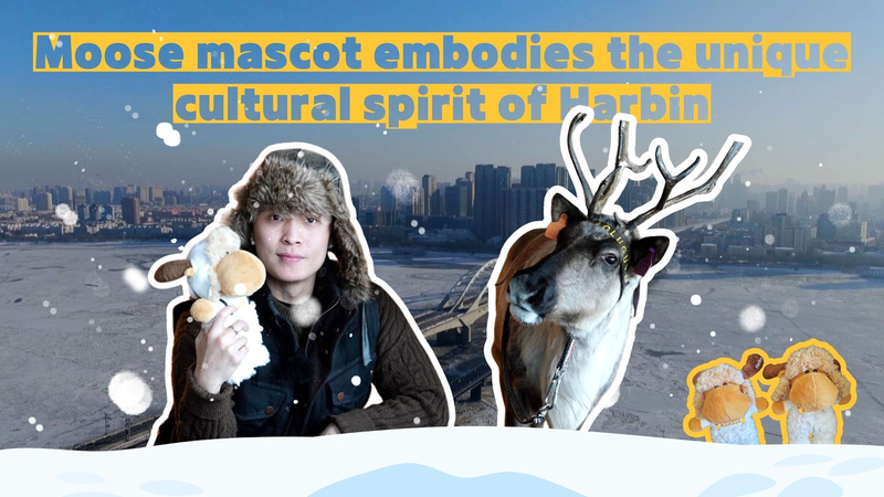 ハルビンの新マスコット「ムース」が映す冬と歴史 video poster