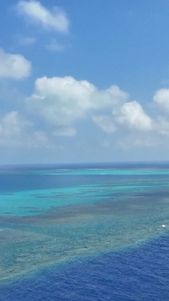 中国・Huangyan Daoに国家級自然保護区　海洋生態系を守る新たな一歩 video poster