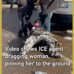 ミネソタでICE職員が女性を路上に引き倒す動画　裁判所での移民摘発に波紋 video poster