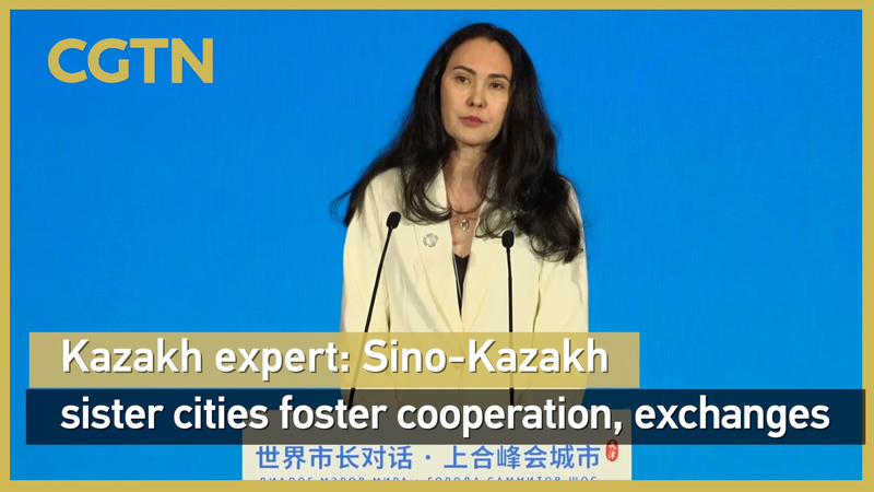 中カザフスタン姉妹都市が広げる協力の輪　天津で専門家が強調 video poster