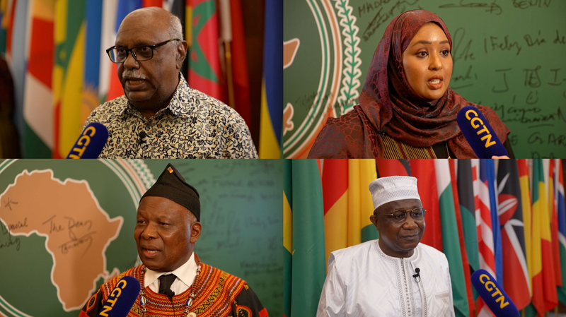 アフリカ大使が語る中国・アフリカ協力　アフリカデー独占インタビュー video poster