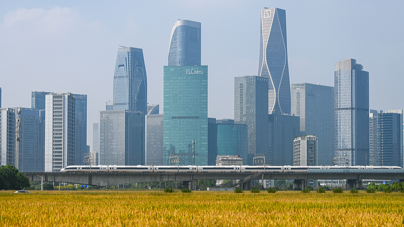 レジリエントで俊敏：中国民間企業はなぜ成長を続けるのか