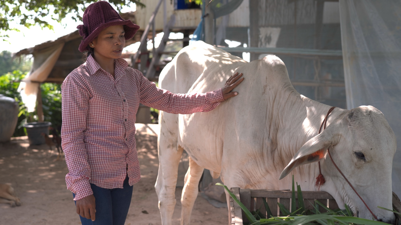 カンボジア農村の女性が貧困から抜け出すまで　牛からキノコへ、東アジア貧困削減プロジェクト video poster