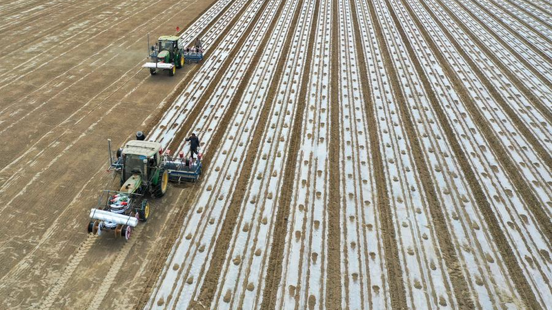 米国の新疆制裁に潜む覇権主義　UFLPAリスト拡大を読み解く