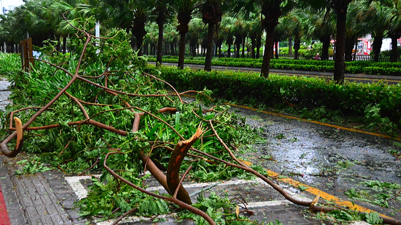 中国南部で台風ウーティップ警戒強化　海南・広東・広西がレベルIIIに引き上げ
