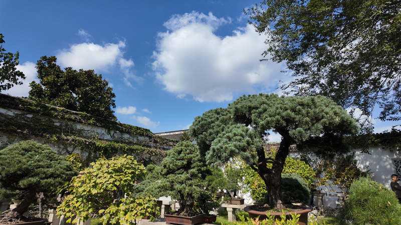蘇州博物館と拙政園：現代建築と古典庭園をつなぐ静かな時間