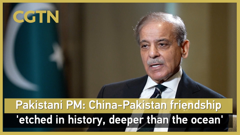 中国とパキスタンの「鉄の友情」は本物か　首相発言から読む2025年の国際関係 video poster