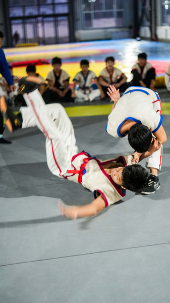 中国式レスリングの3000年：柔よく剛を制す伝統武術のいま video poster