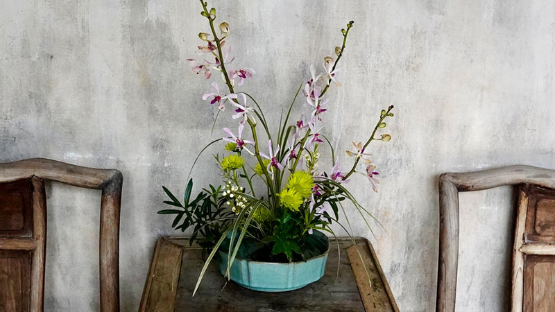 春を描く中国本土の村　白壁黒瓦と花がつなぐ自然と文化