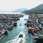 海南・陵水の“海上食堂”　蛋家の浮遊村で味わうタコ飯包みの文化