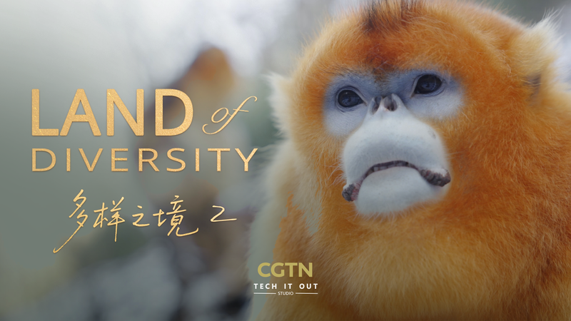 秦嶺山脈で進む共生の試み 人と野生動物が暮らす共有の家 video poster