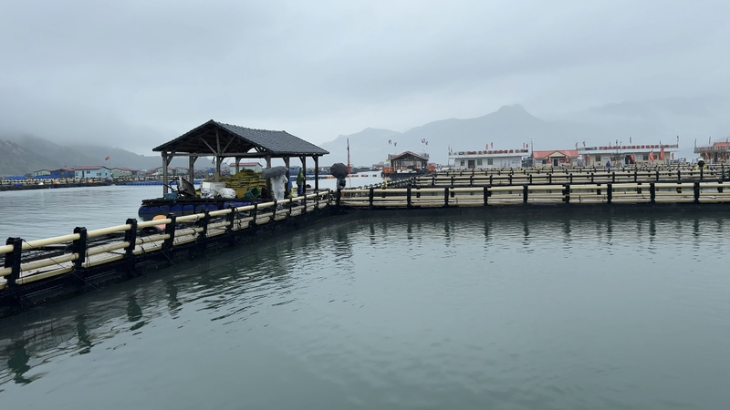 中国・三都澳の漁村、World Ocean Dayに見る持続可能な海への転換 video poster