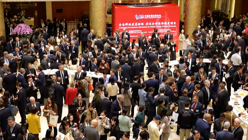 中国発展フォーラム2025　世界の経営者が示した研究・投資強化の狙い video poster