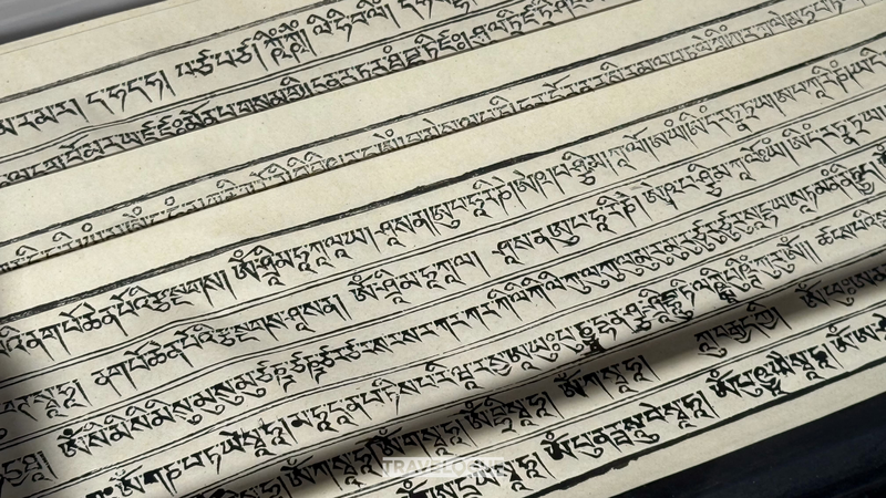 チベット紙に見る西蔵の知恵：毒草が文化を守るサステナブル技術に