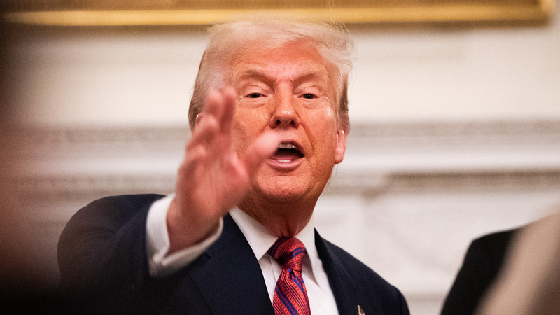 ハーバード研究費停止でトランプ政権と対立　大学と政治の距離を読む