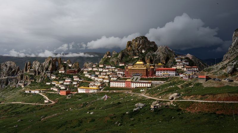 国連80周年と若者の未来像 『One Home: Shared Future』第2弾