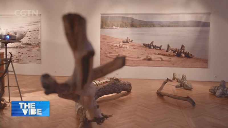 ドナウ川のごみがアートに　ウクライナ出身作家が環境汚染に挑む video poster