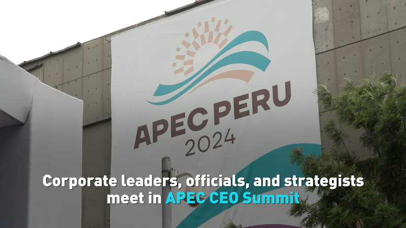APEC CEOサミットがリマで開催　習近平国家主席がメッセージ video poster