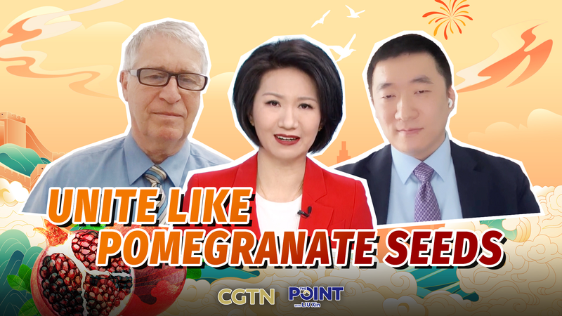 両会目前：米制裁下で示された新疆のしなやかな強さ video poster