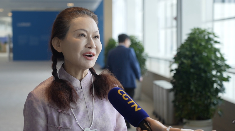 2025年サマーダボスのテーマ「新時代の起業家精神」をZhao Yan氏と読む video poster