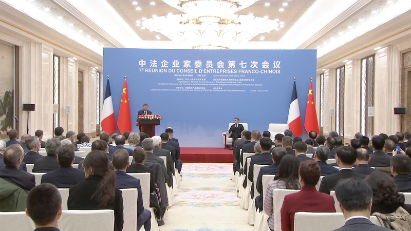 習近平氏とマクロン氏、中国フランスビジネス評議会で経済協力の拡大を確認 video poster