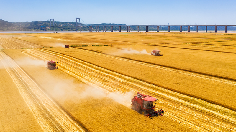 習近平氏「国民の不安は常に心に」2025年新年あいさつを読む