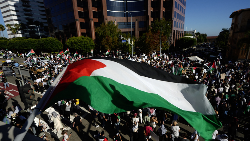 中国外相、ガザは「パレスチナの不可分の一部」　中東で正義と平和を掲げる外交 video poster