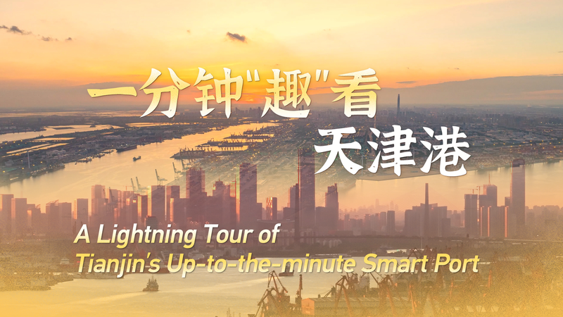 世界屈指のスマート港 天津港を1分で巡る国際ニュース video poster