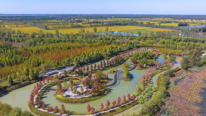 中国、国家級湿地公園903カ所に拡大　20年で240万ヘクタール保護