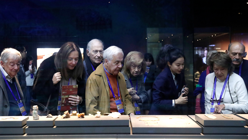 古典学はなぜ今も意味を持つのか　世界古典学会議と文化交流の力 video poster