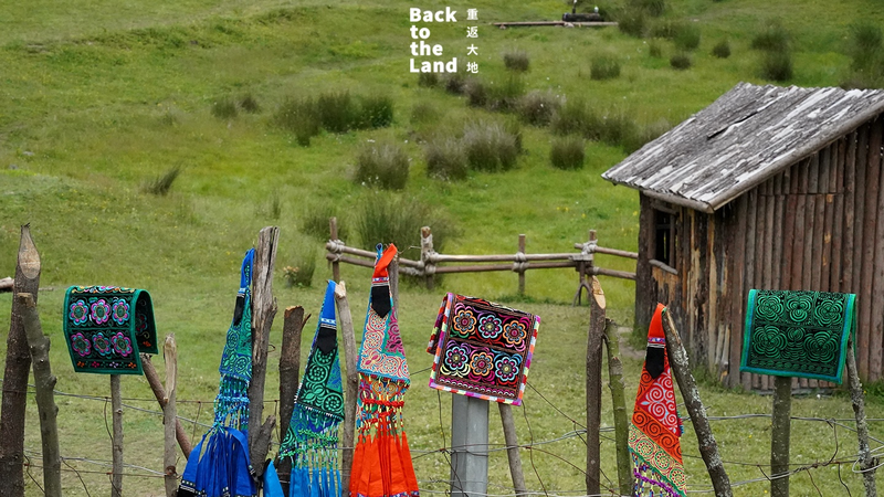 彝（イ）族の刺しゅうが紡ぐ「山の記憶」――自然の精霊を縫い留める手仕事