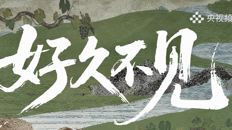 中国の新ドキュメンタリー「Long Time No See」 食卓から見える現代社会 video poster