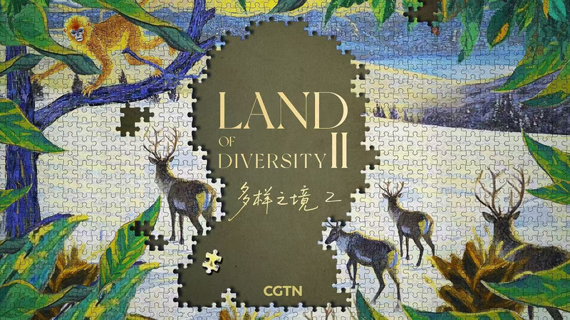 人間と生物圏の物語 科学ドキュメンタリー Land of Diversity II video poster