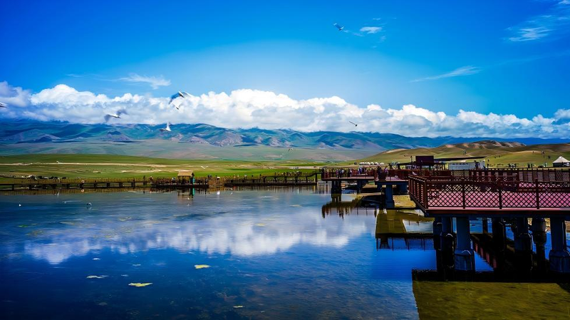 中国・バヤンブルク白鳥湖を歩く――新疆の高原湿地が映す人と自然の調和 video poster