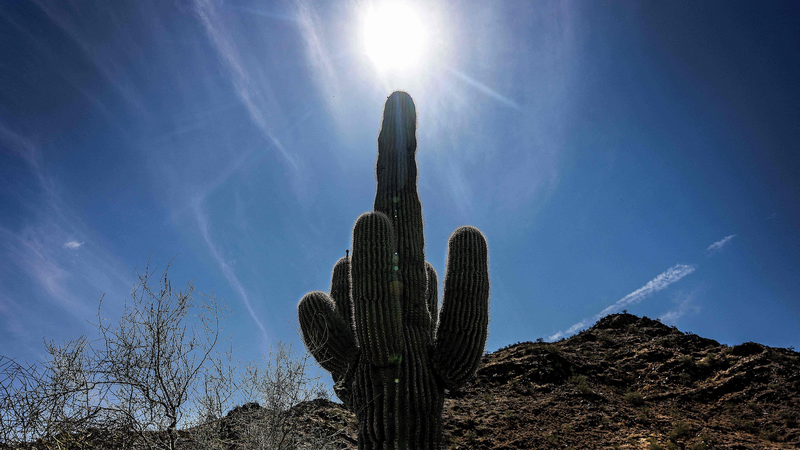 2024年は観測史上最も暑い年に　地球温暖化が突きつける現実