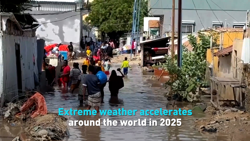2025年、世界で加速する極端気象　COP30ベレン会議が突きつけた現実 video poster